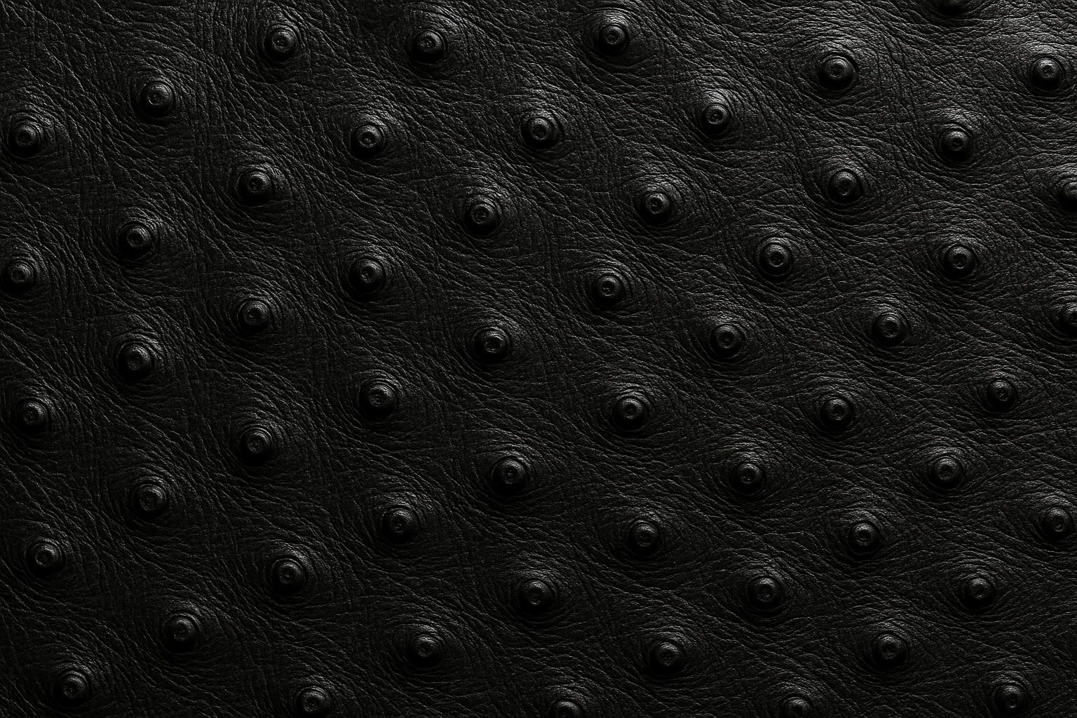 fallo uguale  colore nero 